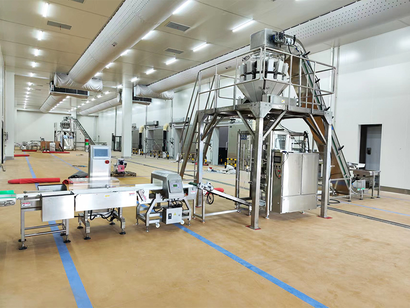 automatyczna maszyna pakująca forzen food