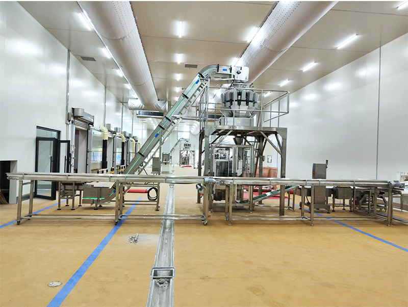 automatyczna maszyna pakująca forzen food