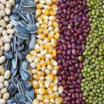 Automatyczna maszyna do pakowania nasion